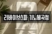 리바이브스파 기노세곡점