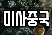 미사중국