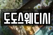 도도스웨디시