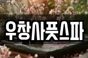 우창사풋스파