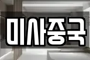 미사중국