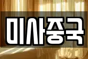 미사중국