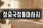 정중국정통마사지