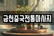 금천중국전통마사지