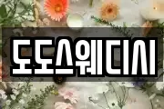 도도스웨디시