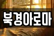 북경아로마