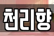 천리향