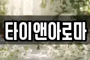 타이앤아로마
