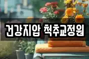 건강지압 척추교정원