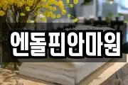엔돌핀안마원