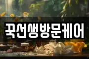 꾹선생방문케어