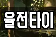 율전타이