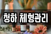 청하 체형관리