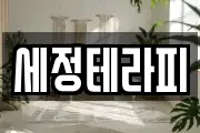 세정테라피