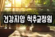 건강지압 척추교정원