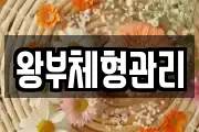왕부체형관리