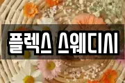 플렉스 스웨디시