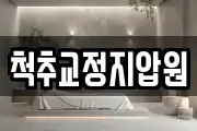 척추교정지압원