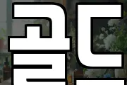 골드