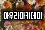 아우라아카데미