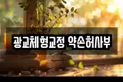 광교체형교정 약손허사부