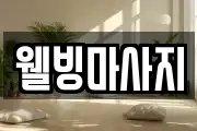 경기도 수원시 장안구 상광교동 마사지, 지압등 업체정보