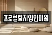 프로힐링지압안마원