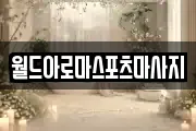 월드아로마스포츠마사지