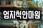 엄지척안마원