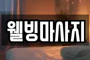 경기도 수원시 장안구 이목동 마사지, 지압등 업체정보