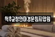 척추교정안마경문침지압원