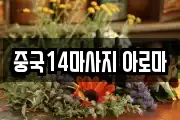 중국14마사지 아로마