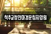 척추교정안마경문침지압원
