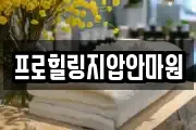 프로힐링지압안마원