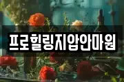 프로힐링지압안마원