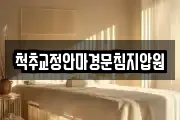 척추교정안마경문침지압원