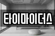 타이마이더스