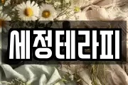 세정테라피
