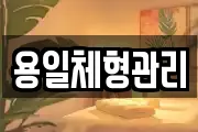 용일체형관리