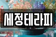 세정테라피