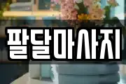 경기도 수원시 팔달구 매교동 마사지, 지압등 업체정보