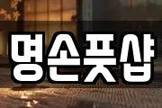명손풋샵