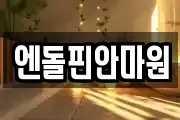 엔돌핀안마원