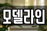 모델라인