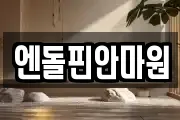 엔돌핀안마원