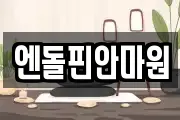 엔돌핀안마원
