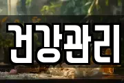 건강관리