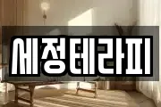 세정테라피