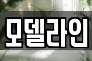 모델라인