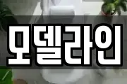 모델라인